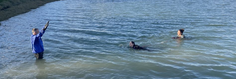 Three people wearing wetsuits in a tidal river taking part in open water swimming safety management training